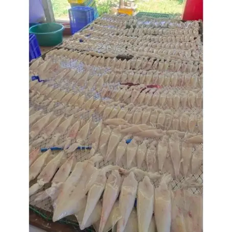 หมึกไข่แดดเดียว 300/500กรัม สดใหม่จากทะเลปราณบุรี - Image 2