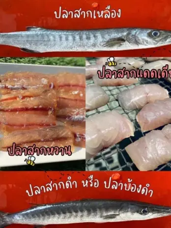 ปลาสากแดดเดียว/เนื้อนิ่ม/รสชาติเค็มกำลังดี/สด/สะอาด/ไร้สารเคมี/