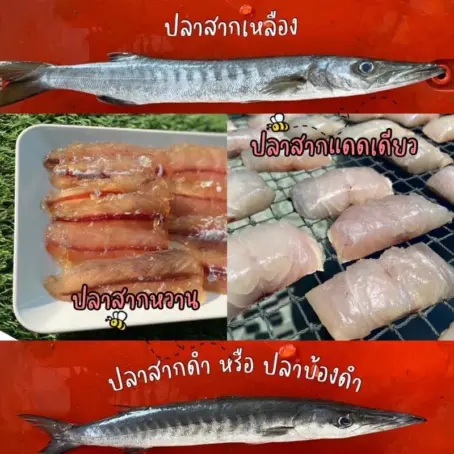 ปลาสากแดดเดียว/เนื้อนิ่ม/รสชาติเค็มกำลังดี/สด/สะอาด/ไร้สารเคมี/