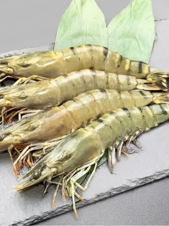 กุ้งลายเสือ BlackTiger Shrimp (13-18PCS/PC)