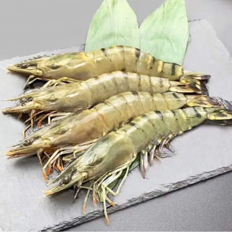 กุ้งลายเสือ BlackTiger Shrimp (13-18PCS/PC)